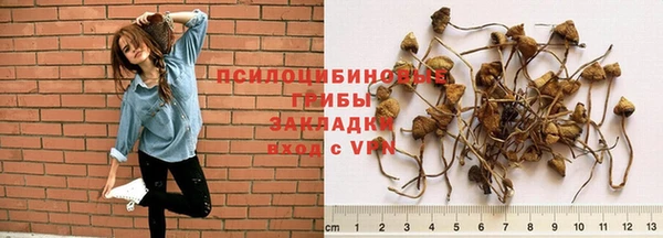 тгк Баксан