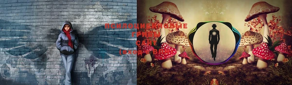 jwh Балахна